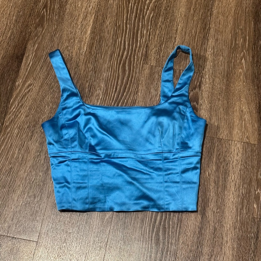 Blue Aritzia corset